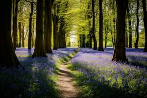 Tranquil Woodland with Blooming Bluebells. Generative AI photo