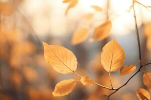 seco otoño otoño arce hojas en naturaleza ai generativo foto