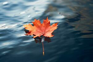 Dry fall maple leaf floating on water AI Generative photo