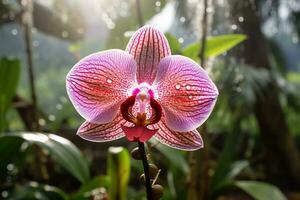 AI Generative photo of orchid flower in a transcendent botanical garden