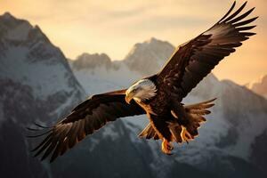 imagen de un águila vuelo en medio aire ai generativo foto