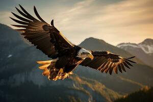 Image of an eagle flight in mid air AI Generative photo