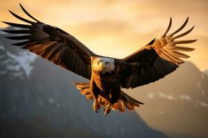 imagen de un águila vuelo en medio aire ai generativo foto