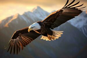 imagen de un águila vuelo en medio aire ai generativo foto