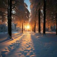 Golden winter sunset in the woodland, a moment of serene beauty AI Generated photo