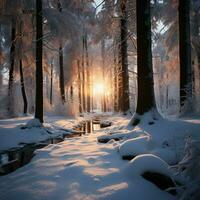 Tranquil winter woods illuminated by the setting suns soft glow AI Generated photo