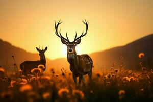 majestuoso ciervo en un sereno prado, destacando fauna silvestre conservación esfuerzos ai generado foto