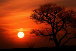 Peaceful sunset Small sun, silhouette tree, tranquil nature, abstract background AI Generated photo