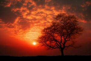 pacífico puesta de sol pequeño sol, silueta árbol, tranquilo naturaleza, resumen antecedentes ai generado foto