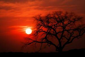 Sunset serenity Small sun, tree silhouette, tranquil death abstract background AI Generated photo