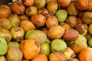 pila de cocos, con verde, naranja, marrón colores foto