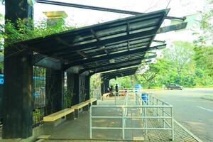 empty bus stop. midday. no vehicles photo