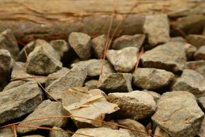 pila de roto piedras en el banco de el río foto