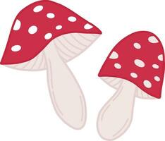 A set of fly agarics. A red poisonous mushroom highlighted on a white background. Vector illustration, colorful cartoon design