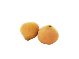 santol Fruta png transparente