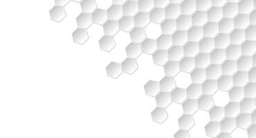 Abstract Geometric Shape Hexagon Background vector