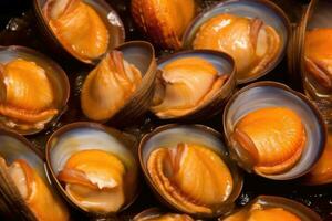 Abalones marine snails fresh dish professional advertising food photography AI Generated photo