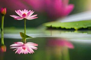 a pink lotus flower is floating in the water. AI-Generated photo