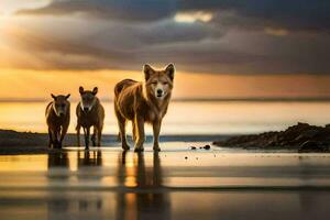 dos perros y un lobo caminar a lo largo el playa a puesta de sol. generado por ai foto