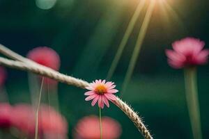 pink flowers on a rope in the sun. AI-Generated photo