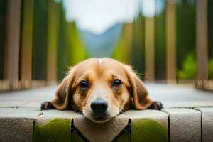 a dog laying on a wooden bench with its head on the ground. AI-Generated photo