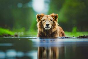 a lion is standing in the water. AI-Generated photo