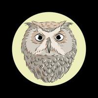 Owl Vector Illustration