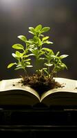 Pages of a book become the fertile soil for a thriving green plant Vertical Mobile Wallpaper AI Generated photo
