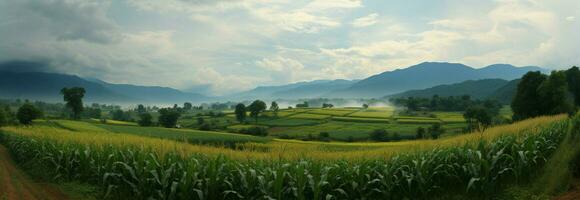 Scenic beauty a rainy season panorama of verdant corn fields AI Generated photo