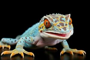 vibrantemente de colores tokay geco, mostrando sorprendentes azul y naranja patrones, tropical lagartija ai generado foto