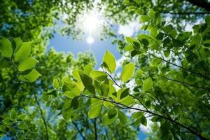 stock foto of early summer blue sky little leaves AI Generated photo