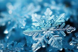 snowflakes frozen in the winter advertising photography photo