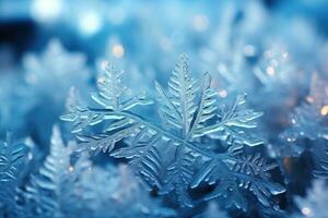 snowflakes frozen in the winter advertising photography photo