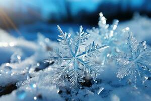 snowflakes on snowdrifts macro advertising photography photo