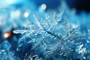 snowflakes frozen in the winter advertising photography photo