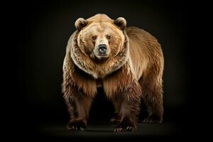 wild bear dangerous animal or mammals professional advertising photography AI Generated photo