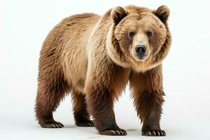 wild bear dangerous animal or mammals professional advertising photography AI Generated photo