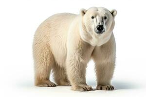 wild animal polar bear dangerous mammals professional advertising photography AI Generated photo