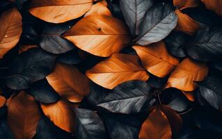 Close up of colorful autumn leaves texture. Generative AI photo