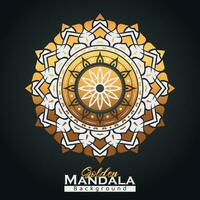 Golden mandala background design template vector