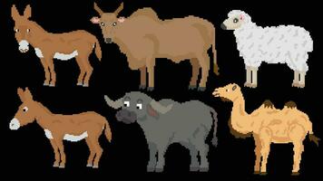 Farm animals designed based on 8 bit size. Suitable for your game assets, Donkey, Sheep, Cow, Camel and Water buffalo vector