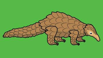 un pangolín escamoso bestia estaba gateando un salvaje reptil diseñado con contornos y lleno colores. vector