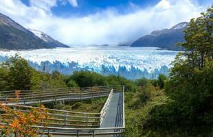 argentina, Patagonia, el calefate perito moreno glaciar en glaciares nacional parque los glaciares foto