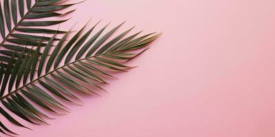 Tropical palm leaves on pink background. Empty space flat lay. Creative minimal summer concept. Generative AI photo