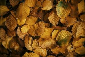 Texture of autumn leaves. Fall leaves for an autumn background. Generative AI photo
