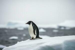 pingüinos mirar fijamente a el congelado mar en Antártida. pingüinos a el postes, invierno concepto. generativo ai foto