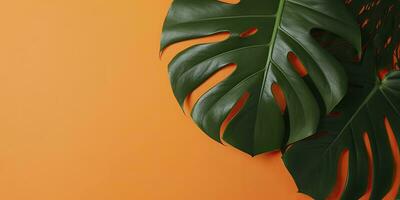 Tropical leaves monstera on orange background. Empty space flat lay. Creative minimal summer concept. Generative AI photo