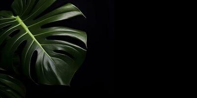 Tropical monstera leaf on black background. Creative minimal summer concept. generative AI photo