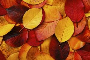 Texture of autumn leaves. Fall leaves for an autumn background. Generative AI photo