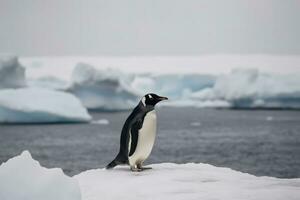 Penguins stare at the frozen sea. Penguins at the poles, winter concept. Generative AI in Antarctica. photo